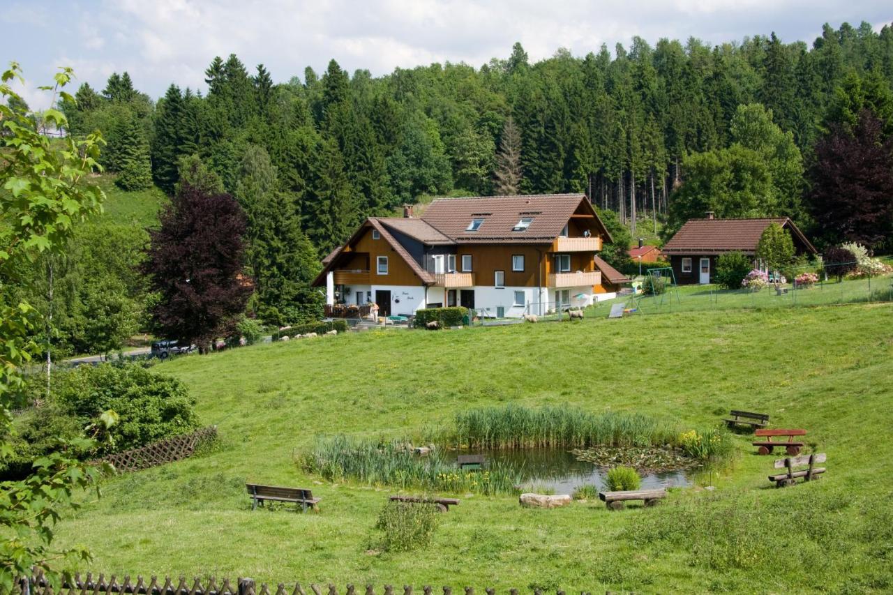 Haus Heidi Lejlighed Altenau  Eksteriør billede